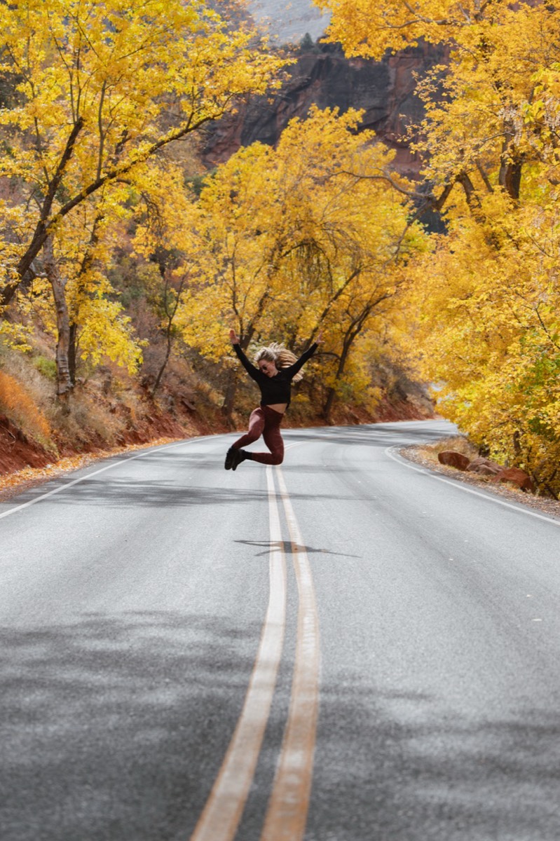 Morgan jumping on a road lined with yellow fall trees